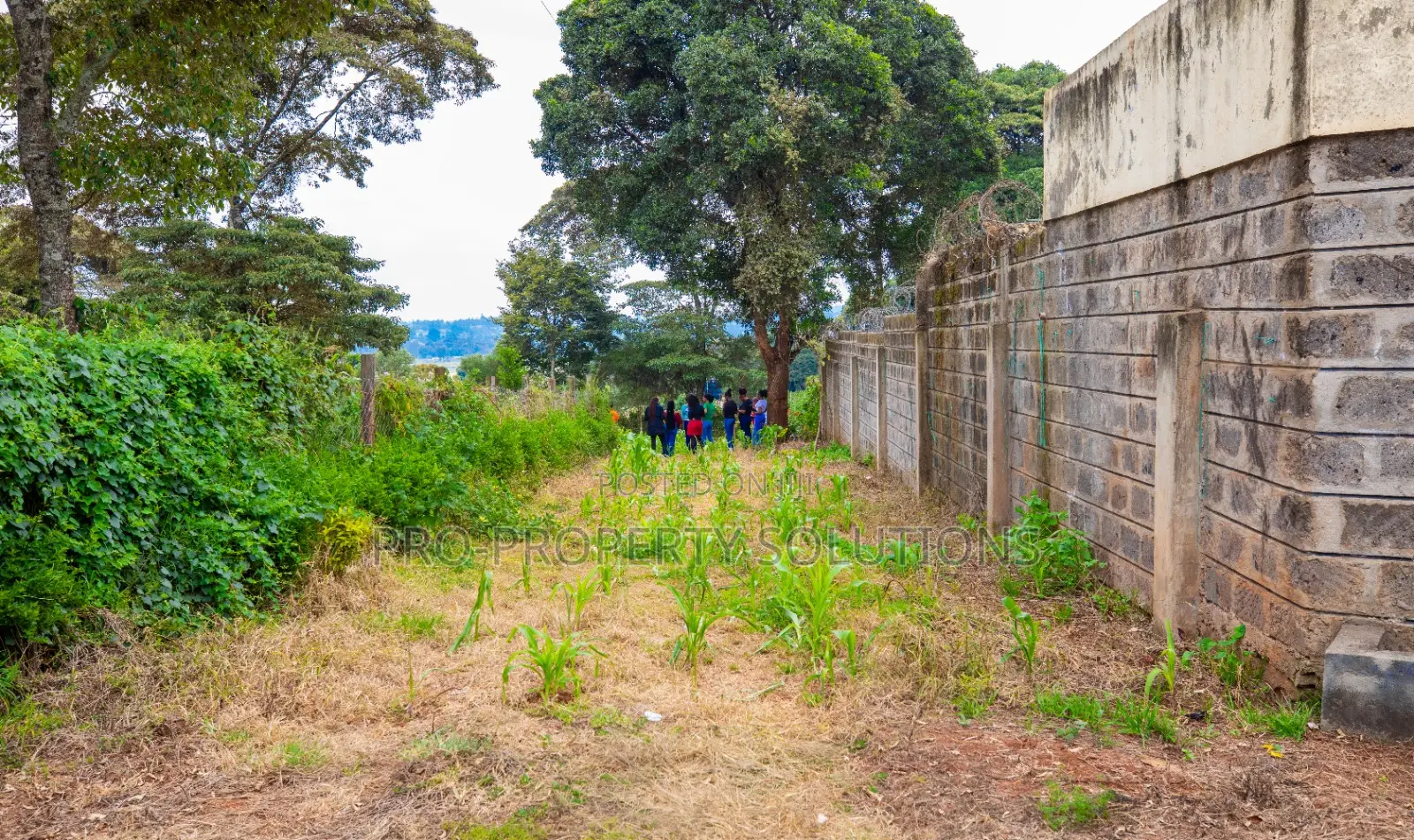 Prime Residential Plot for Sale in Kikuyu, Ondiri in Kikuyu