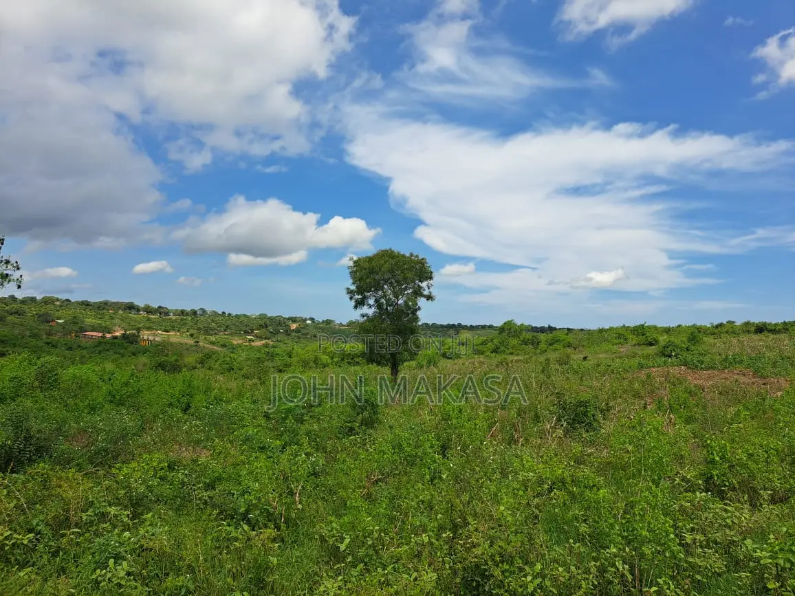 Per Acre in Adu