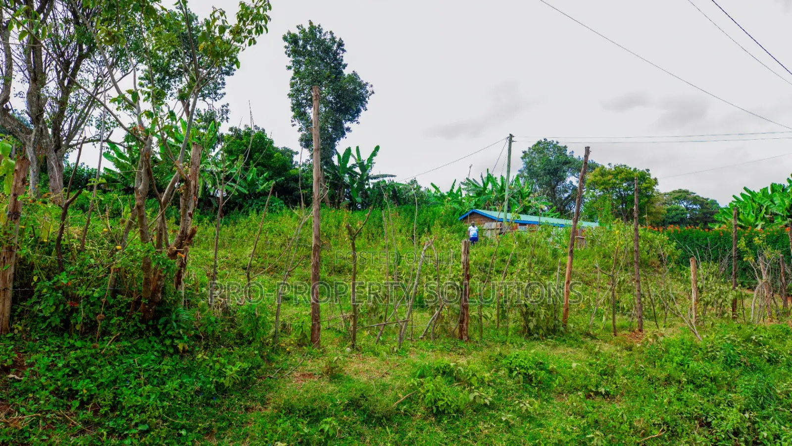 Prime Commercial Plot Fronting Tarmac for Lease in Kikuyu, Gikambura in Kikuyu