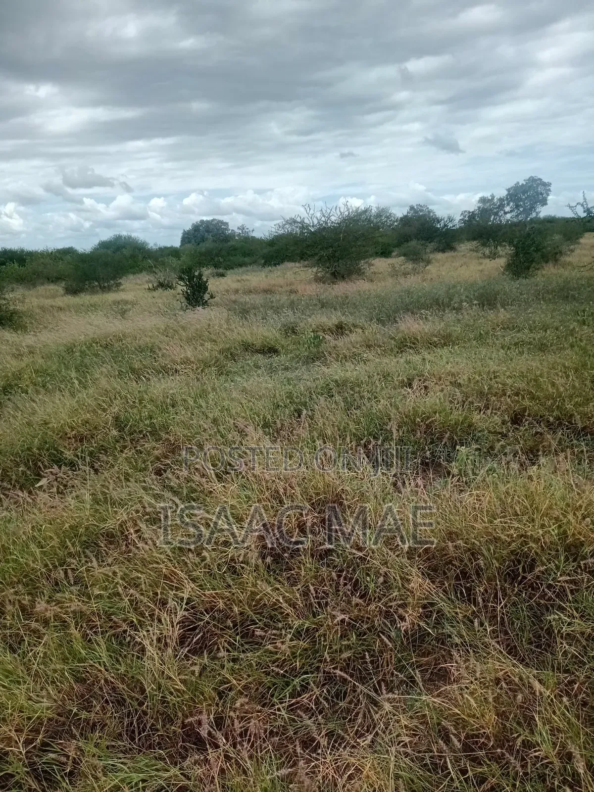 9 Acres for Sale With Ready Tittle Deed at Baolala Weru in Jilore