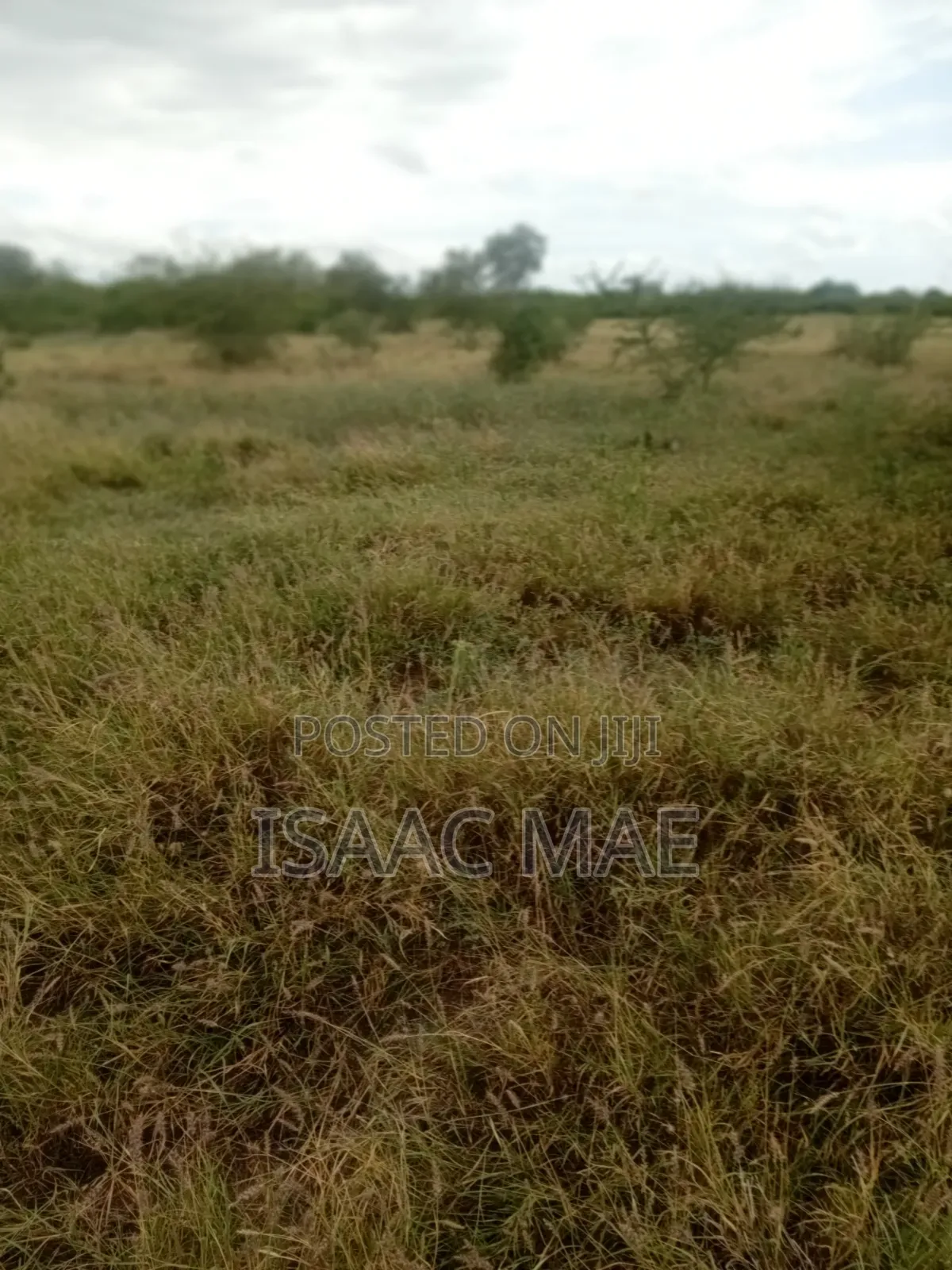 9 Acres for Sale With Ready Tittle Deed at Baolala Weru in Jilore