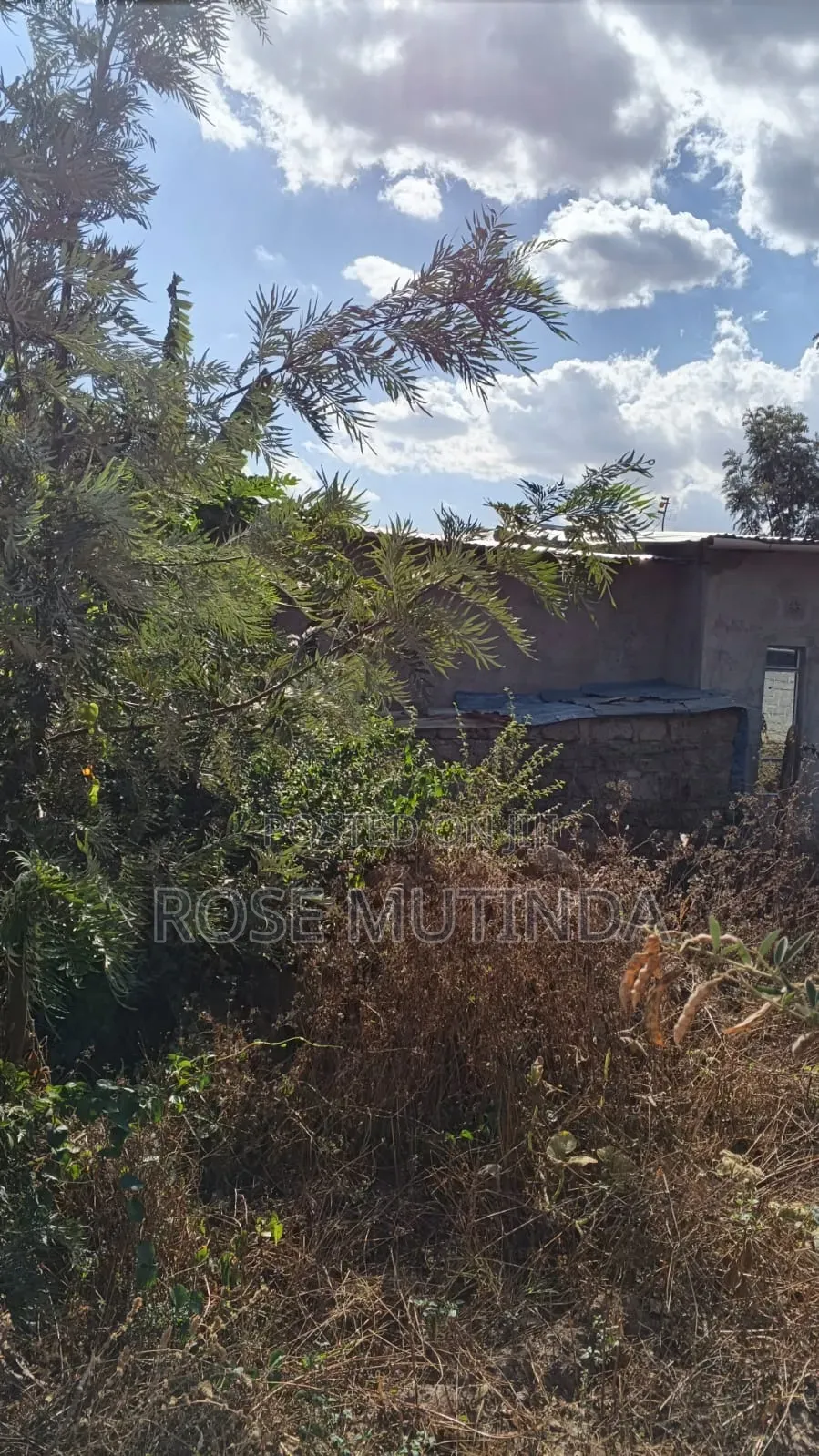 3bdrm House in DayStar Area for sale in DayStar Area