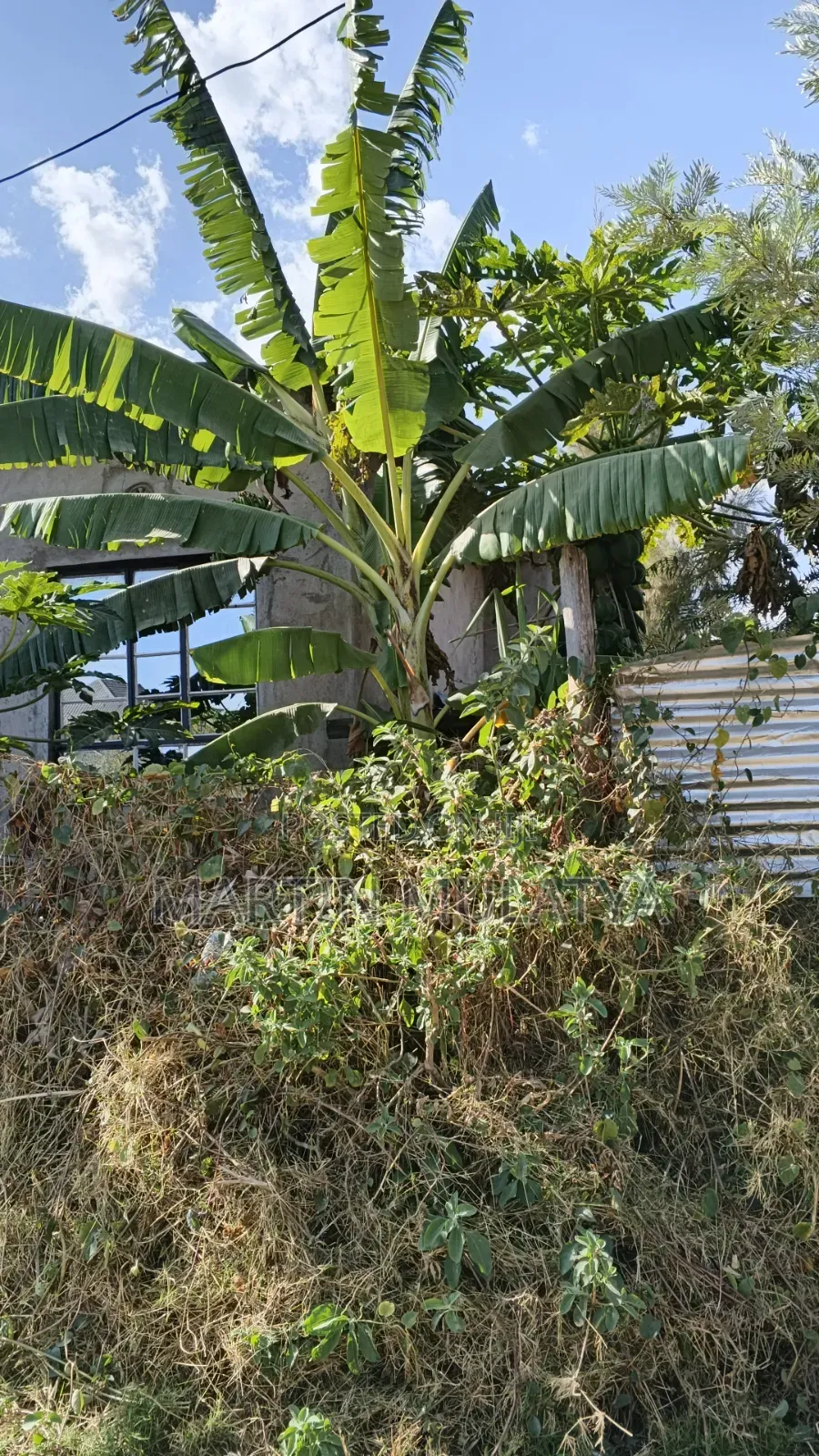 3bdrm Bungalow in DayStar Area for sale in DayStar Area