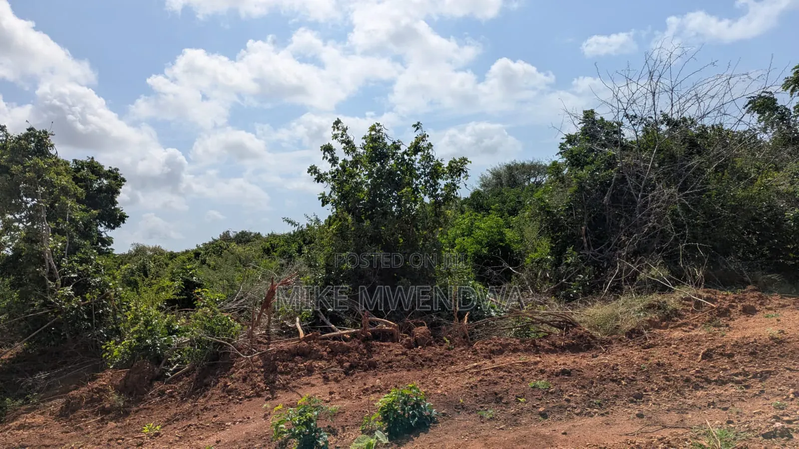 Lands and Plots in Bahari