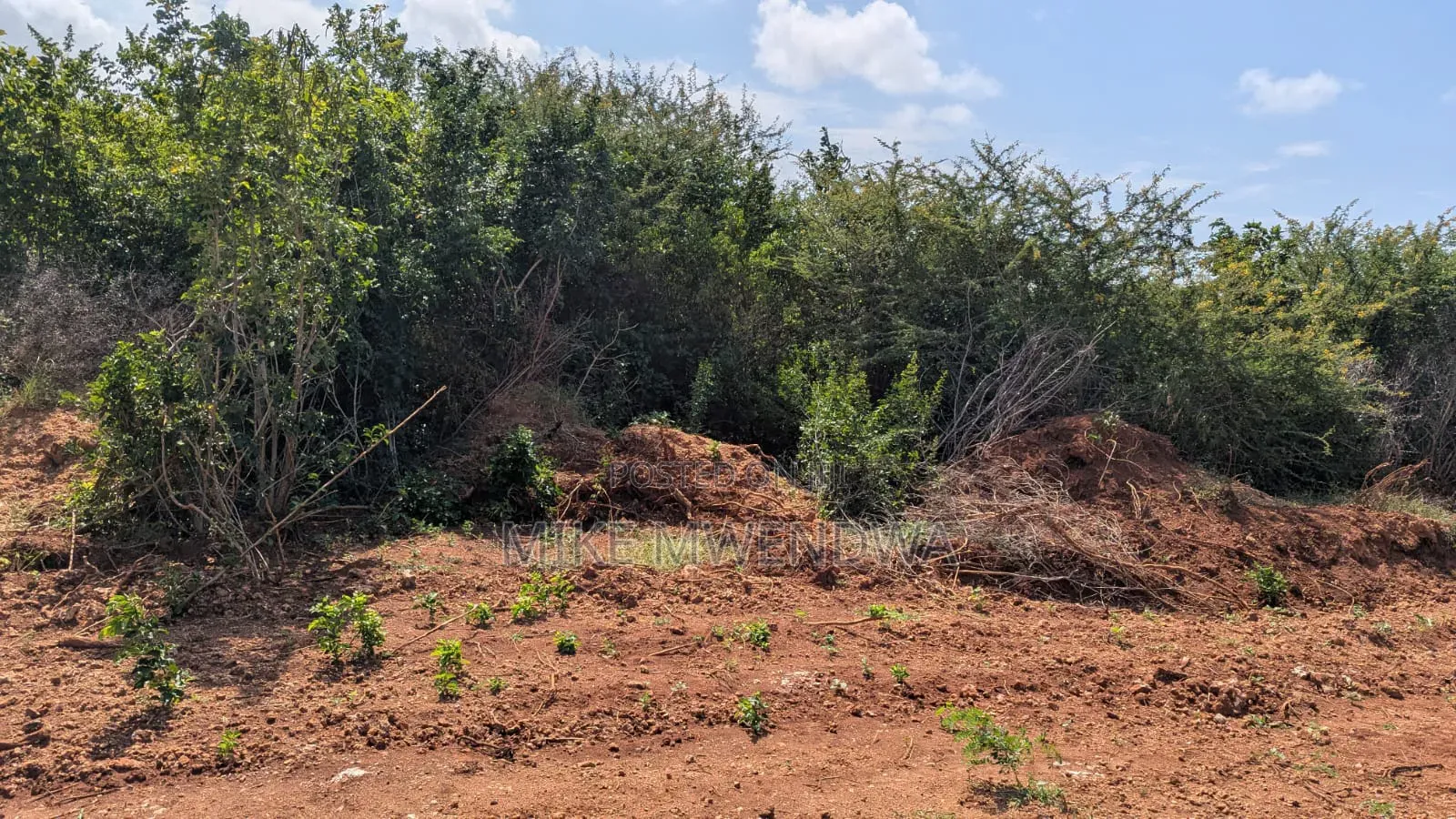 Lands and Plots in Bahari