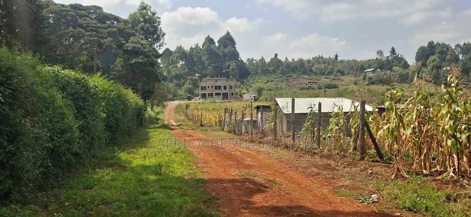 50×100 Plot for Sale – Kikuyu Migumoini | in Karai