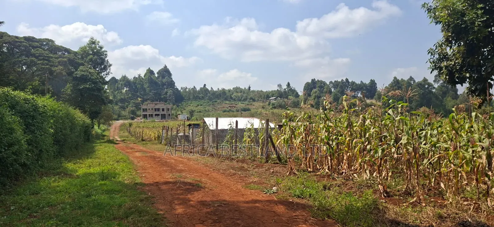 50×100 Plot for Sale – Kikuyu Migumoini | in Karai