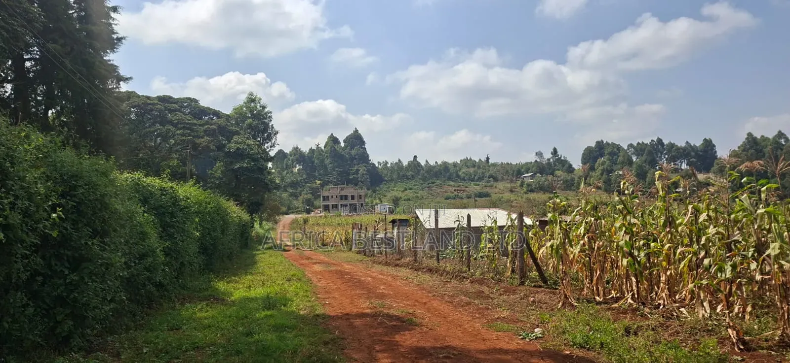 50×100 Plot for Sale – Kikuyu Migumoini | in Karai