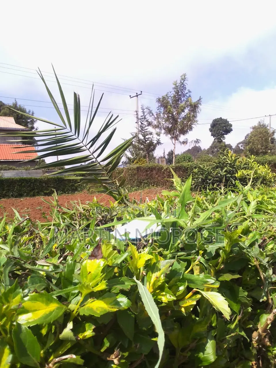 1⁄4 Acre Plot Makutano in Ndeiya