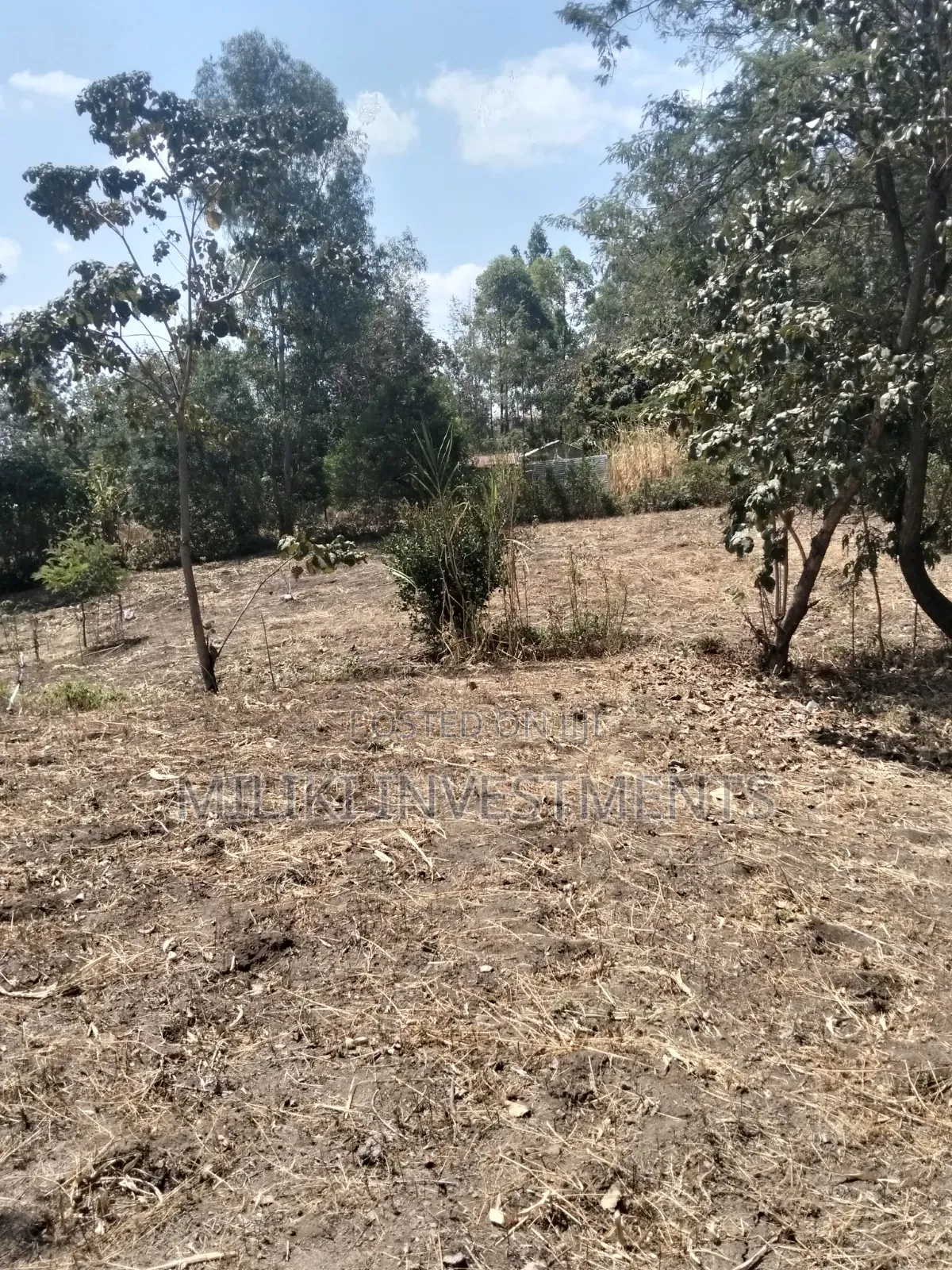 1.25 Acres Land on Sale at Kenol-Kimorori in Kimorori/Wempa