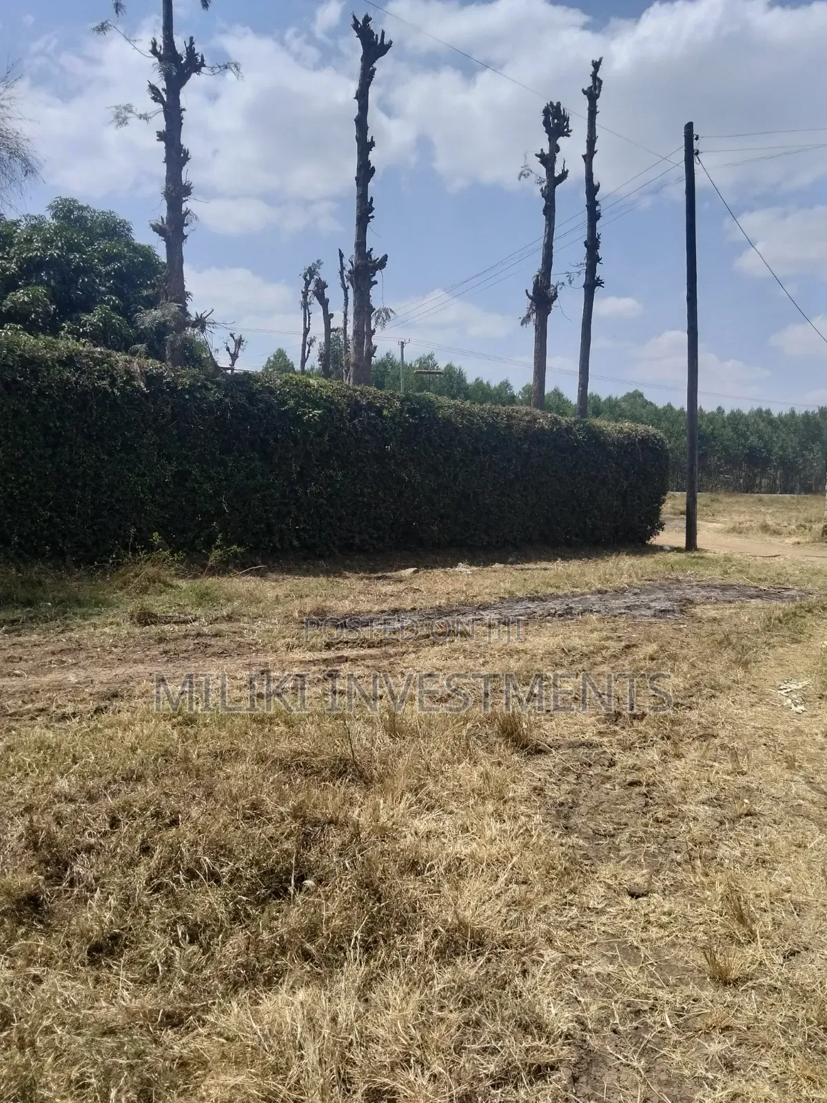1.25 Acres Land on Sale at Kenol-Kimorori in Kimorori/Wempa
