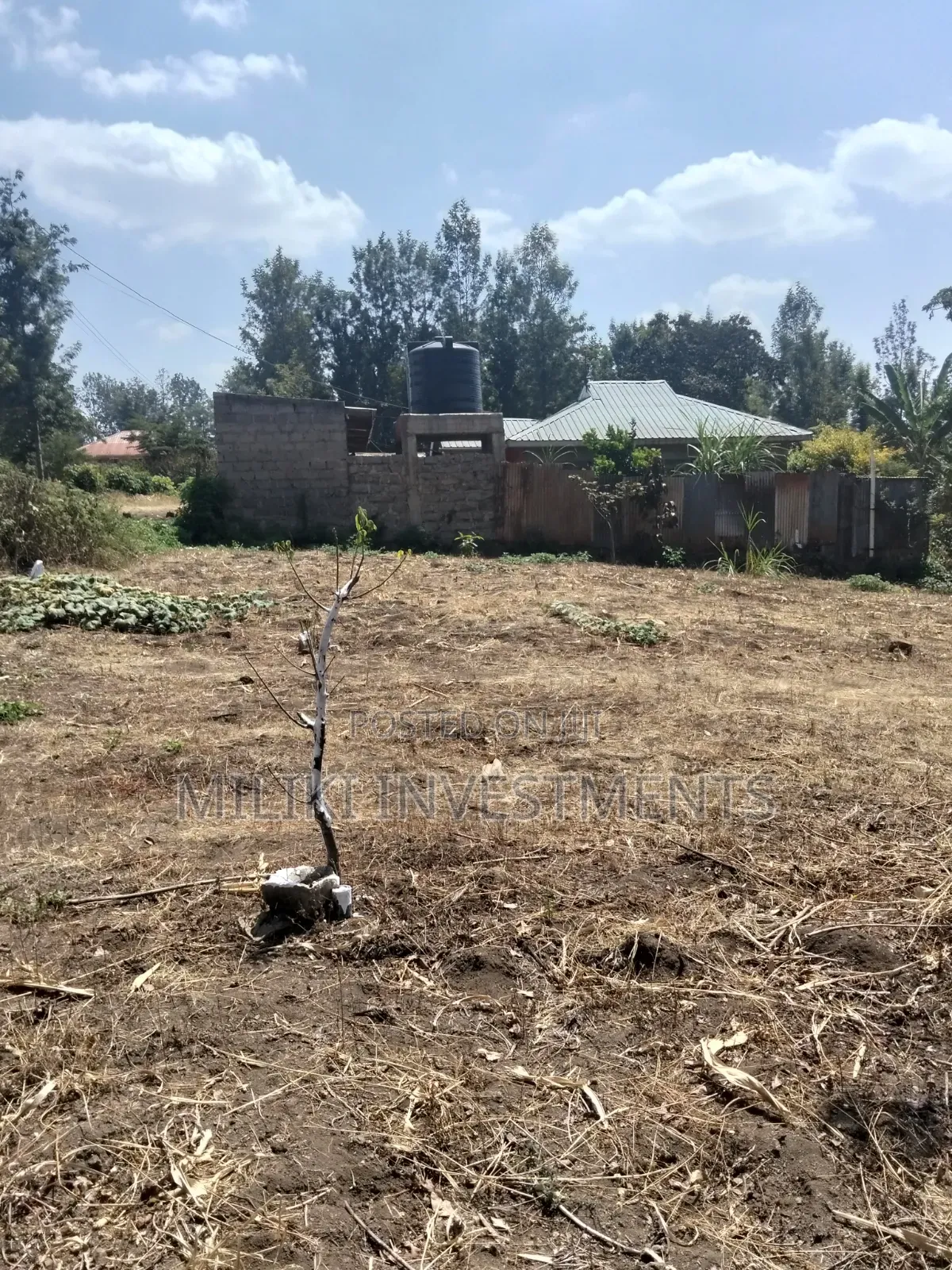 1.25 Acres Land on Sale at Kenol-Kimorori in Kimorori/Wempa
