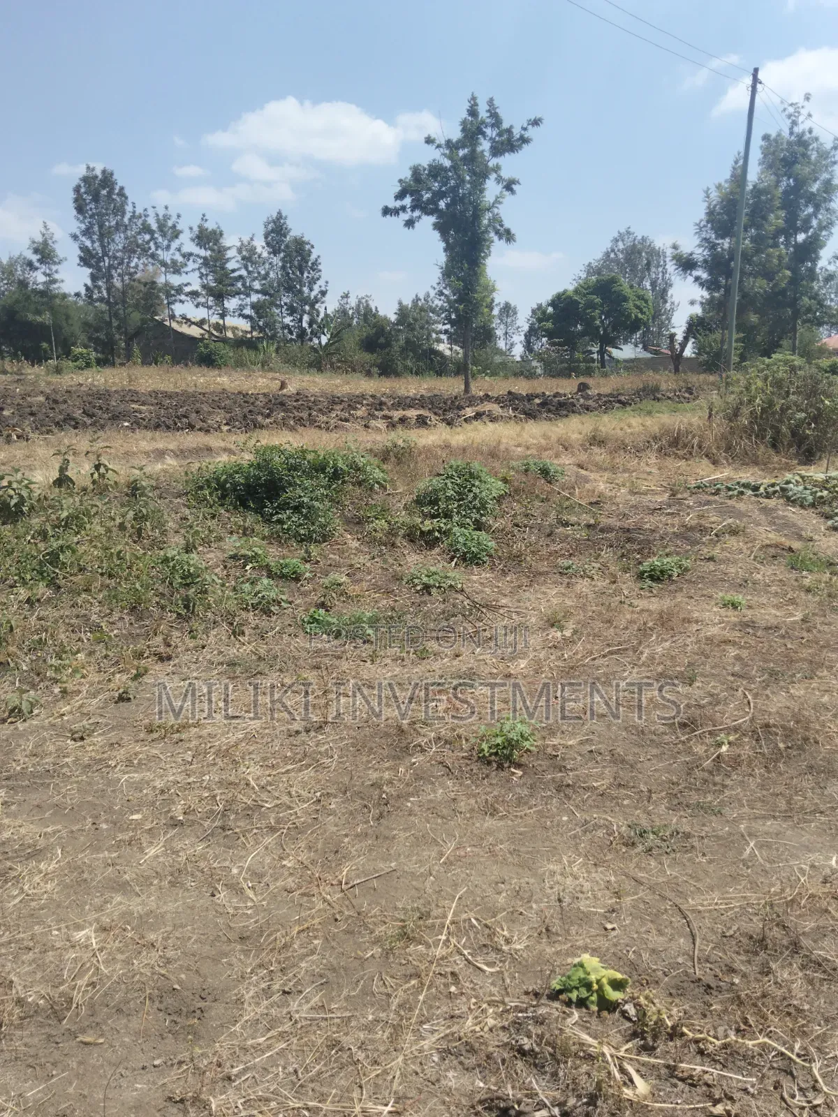 1.25 Acres Land on Sale at Kenol-Kimorori in Kimorori/Wempa