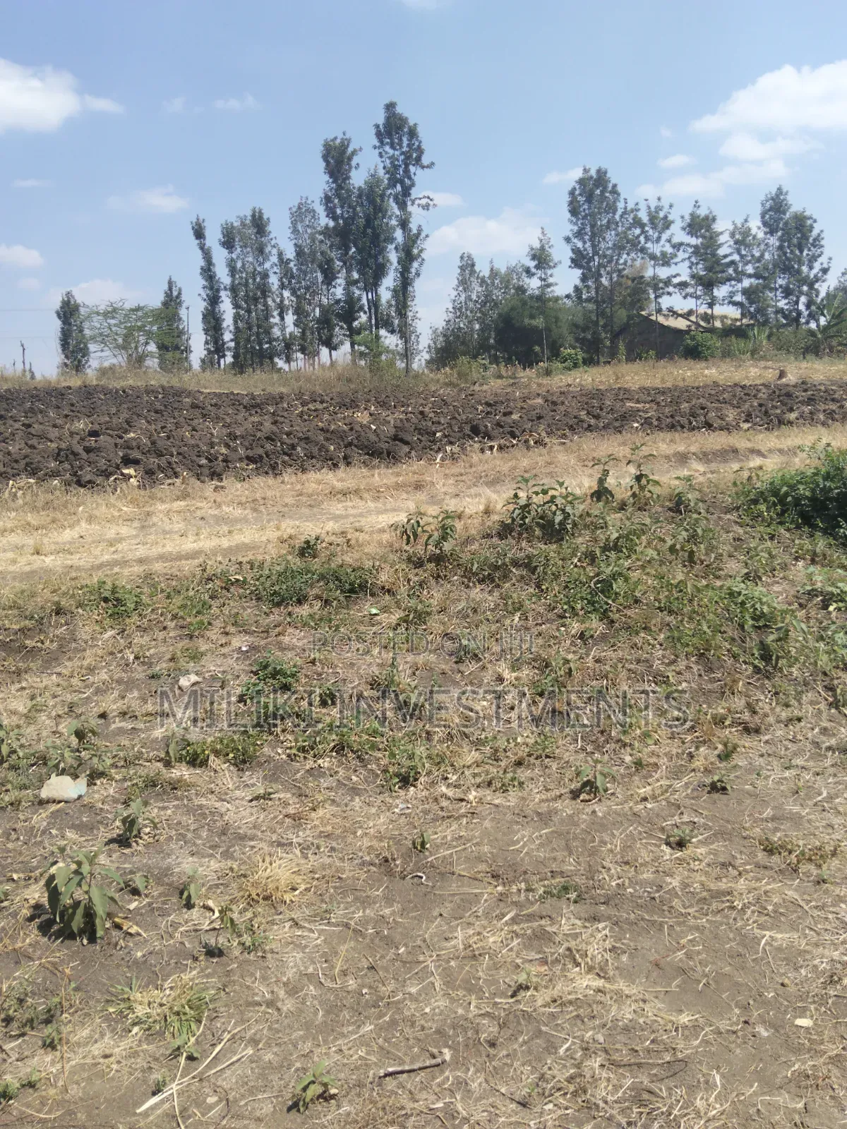 1.25 Acres Land on Sale at Kenol-Kimorori in Kimorori/Wempa