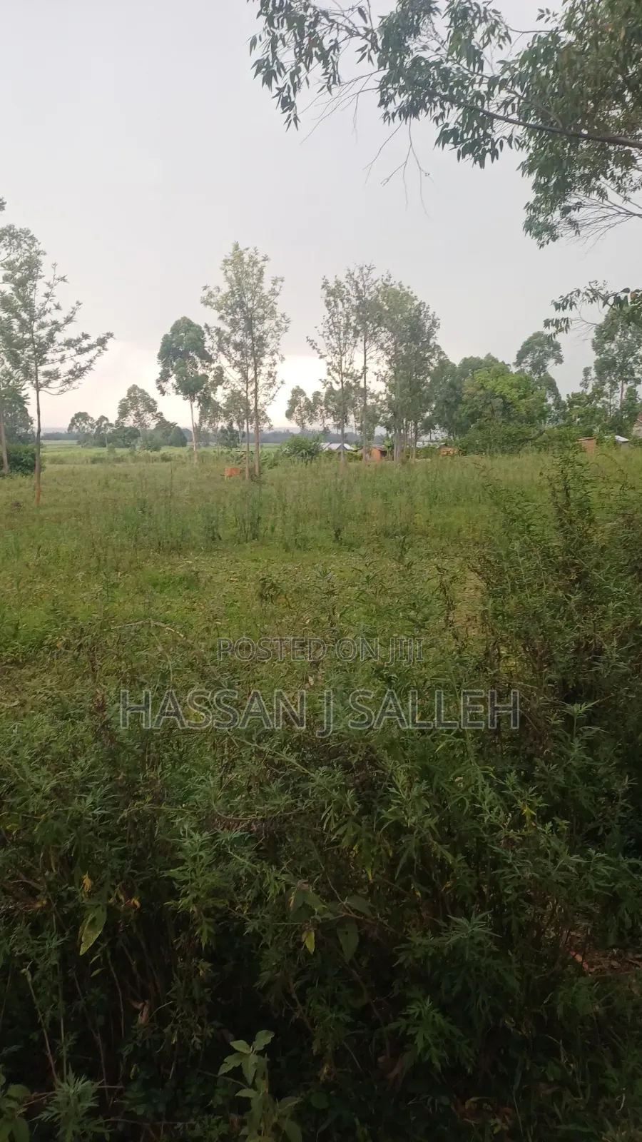 1 1/2acres Mwitoti on Sale in East Wanga