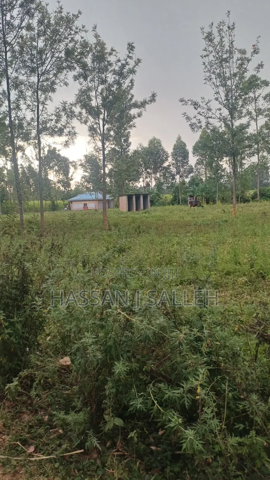 1 1/2acres Mwitoti on Sale in East Wanga