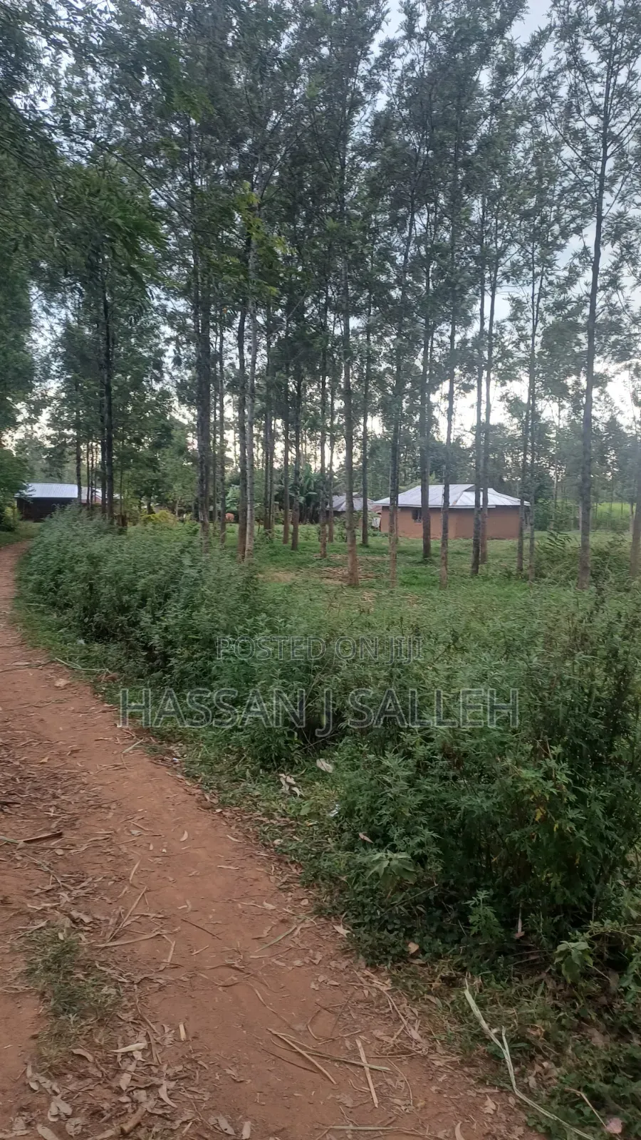 1 1/2acres Mwitoti on Sale in East Wanga