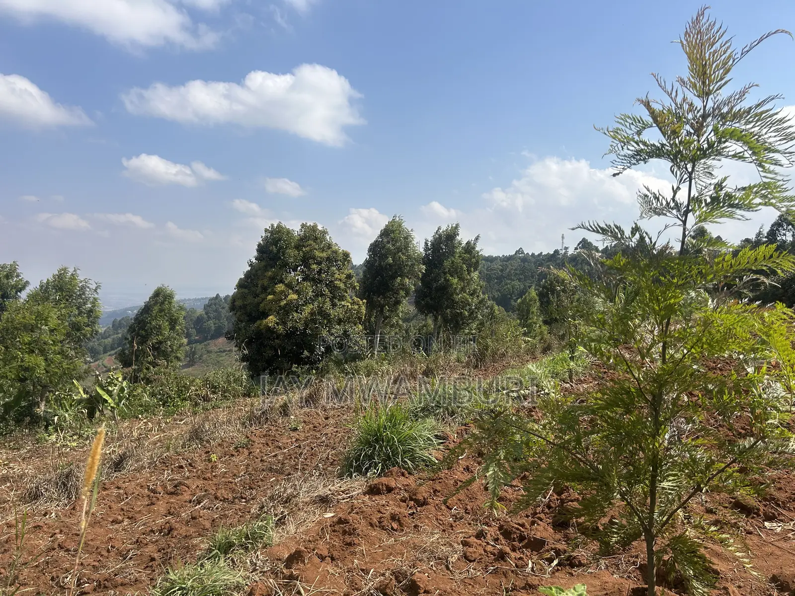 Half Acre Land Mua Hills in Mua Hills