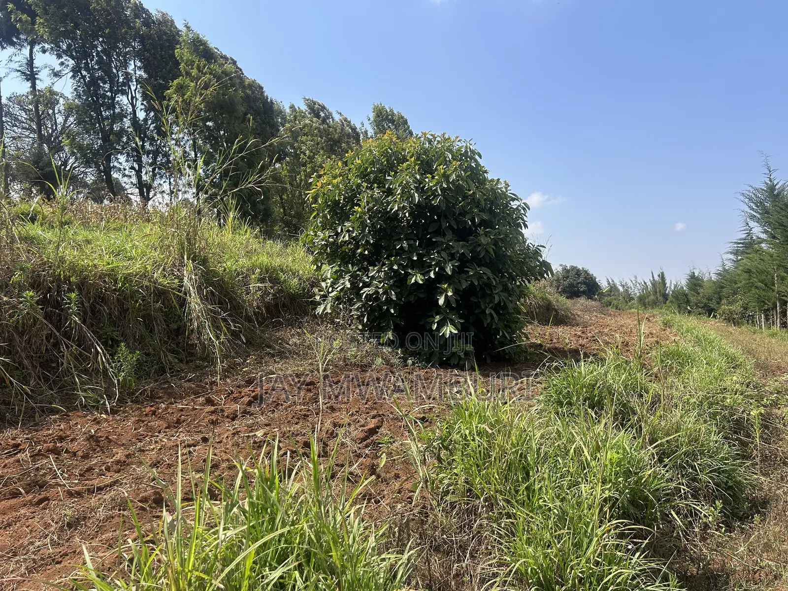 Half Acre Land Mua Hills in Mua Hills