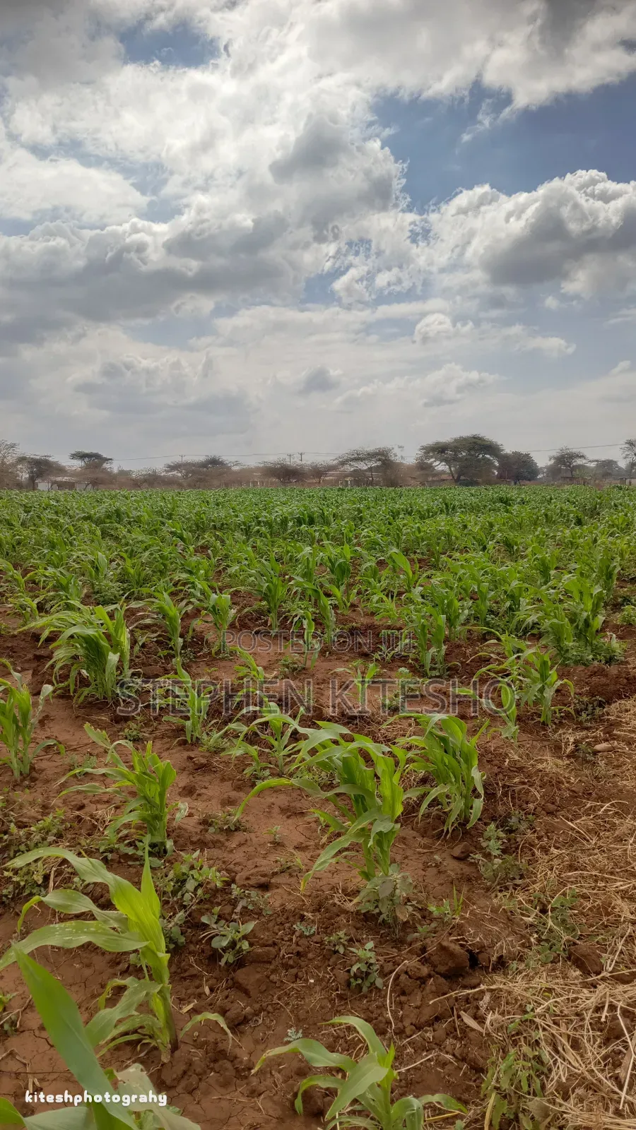 10acres for Sale Imbrrikani Loitoktok in Kimana