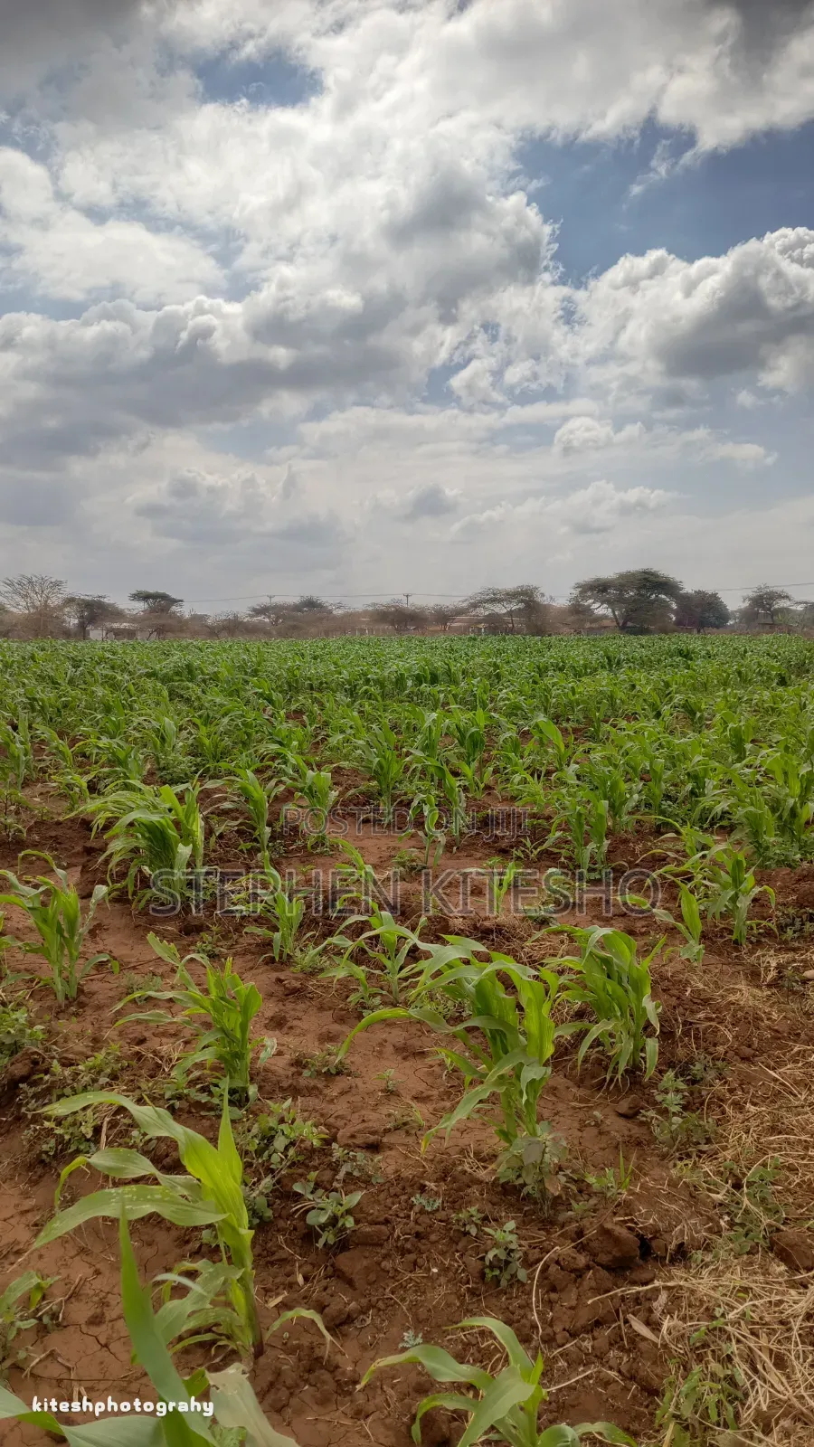 10acres for Sale Imbrrikani Loitoktok in Kimana