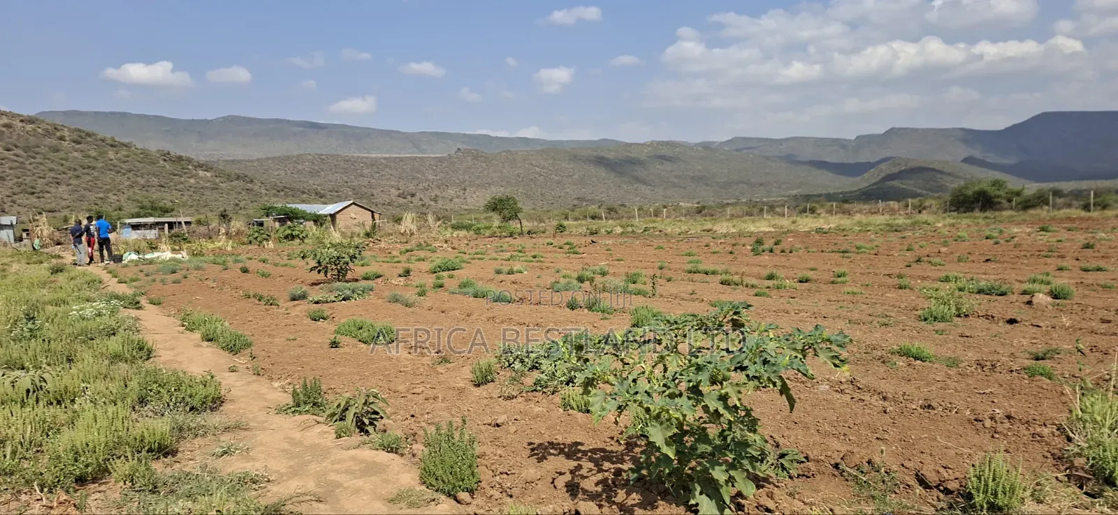 5 Acres Available Land for Sale in Ndiuni Kiambu County in Ndeiya