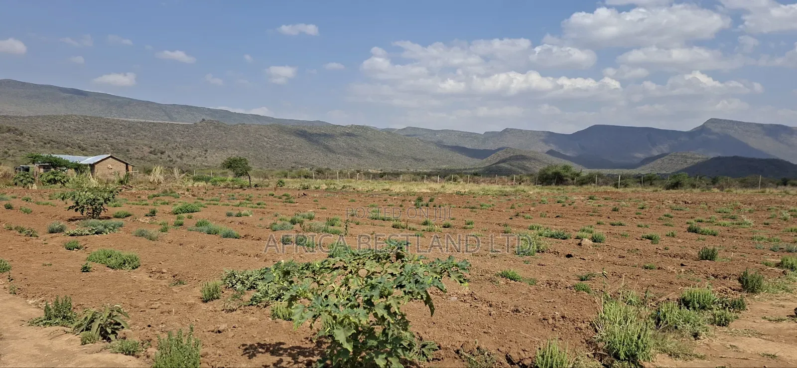 5 Acres Available Land for Sale in Ndiuni Kiambu County in Ndeiya