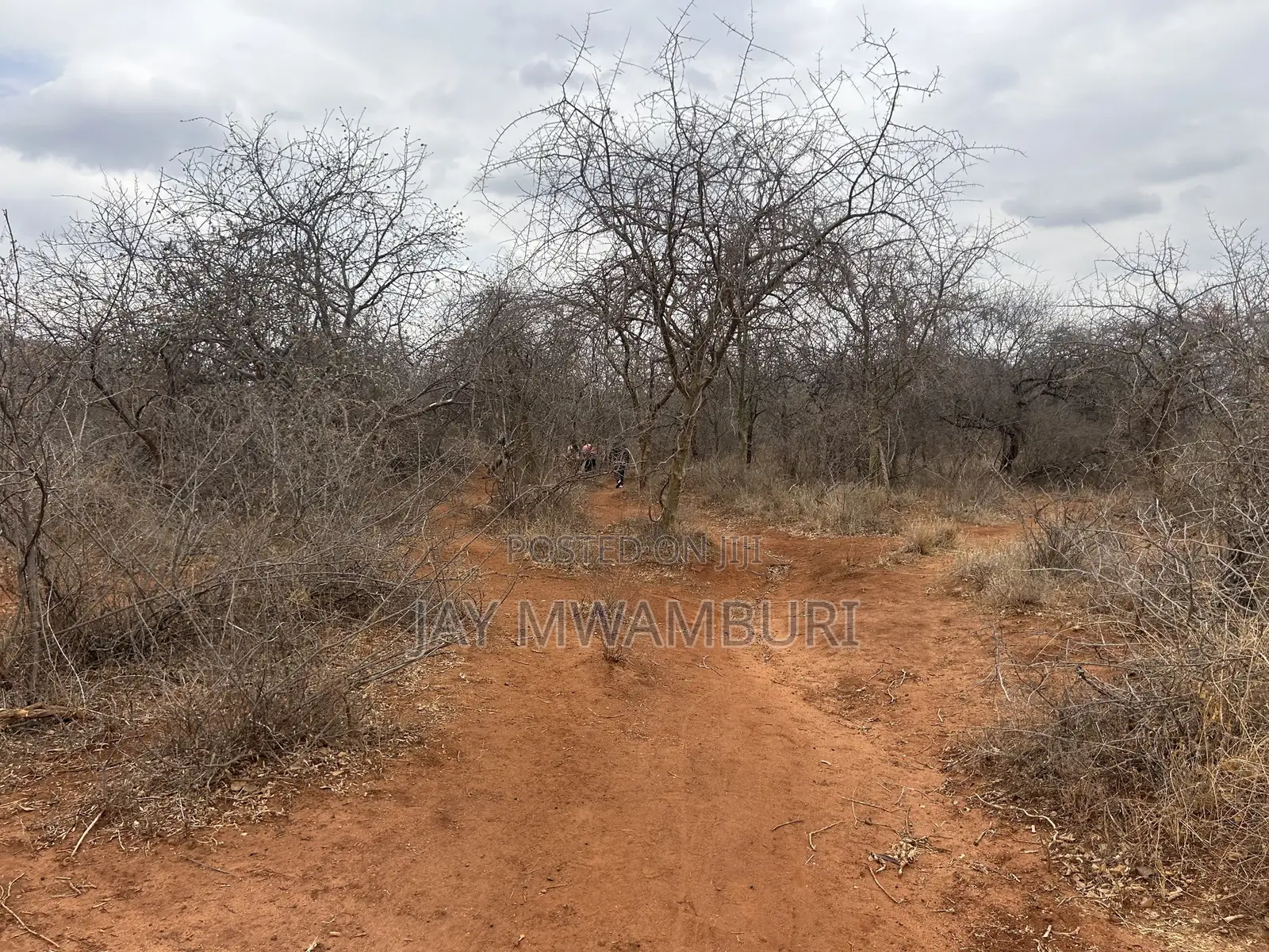 195 Acres Makindu in Makindu