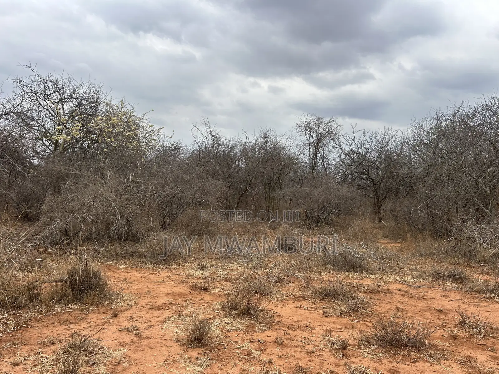 195 Acres Makindu in Makindu