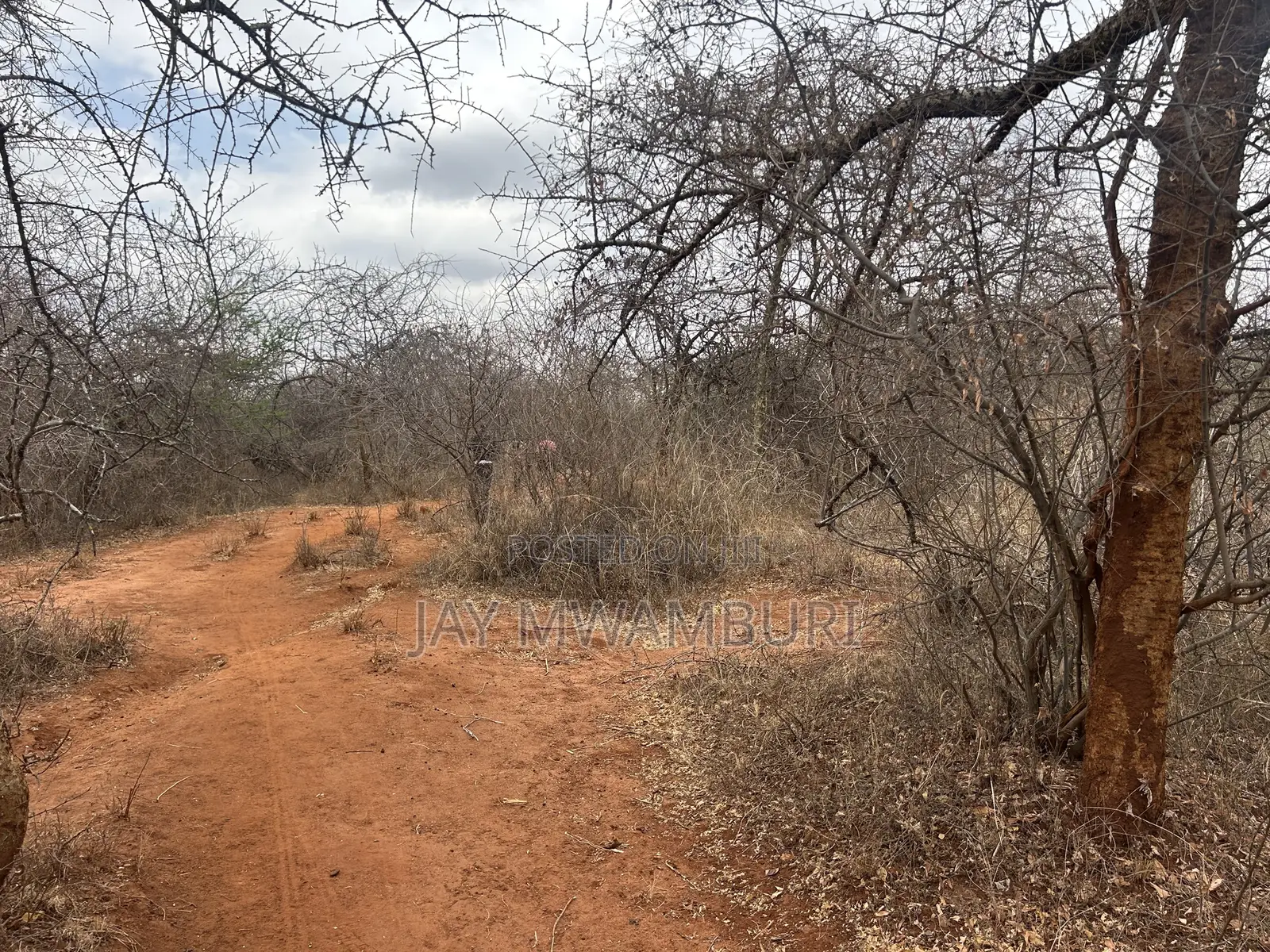 195 Acres Makindu in Makindu