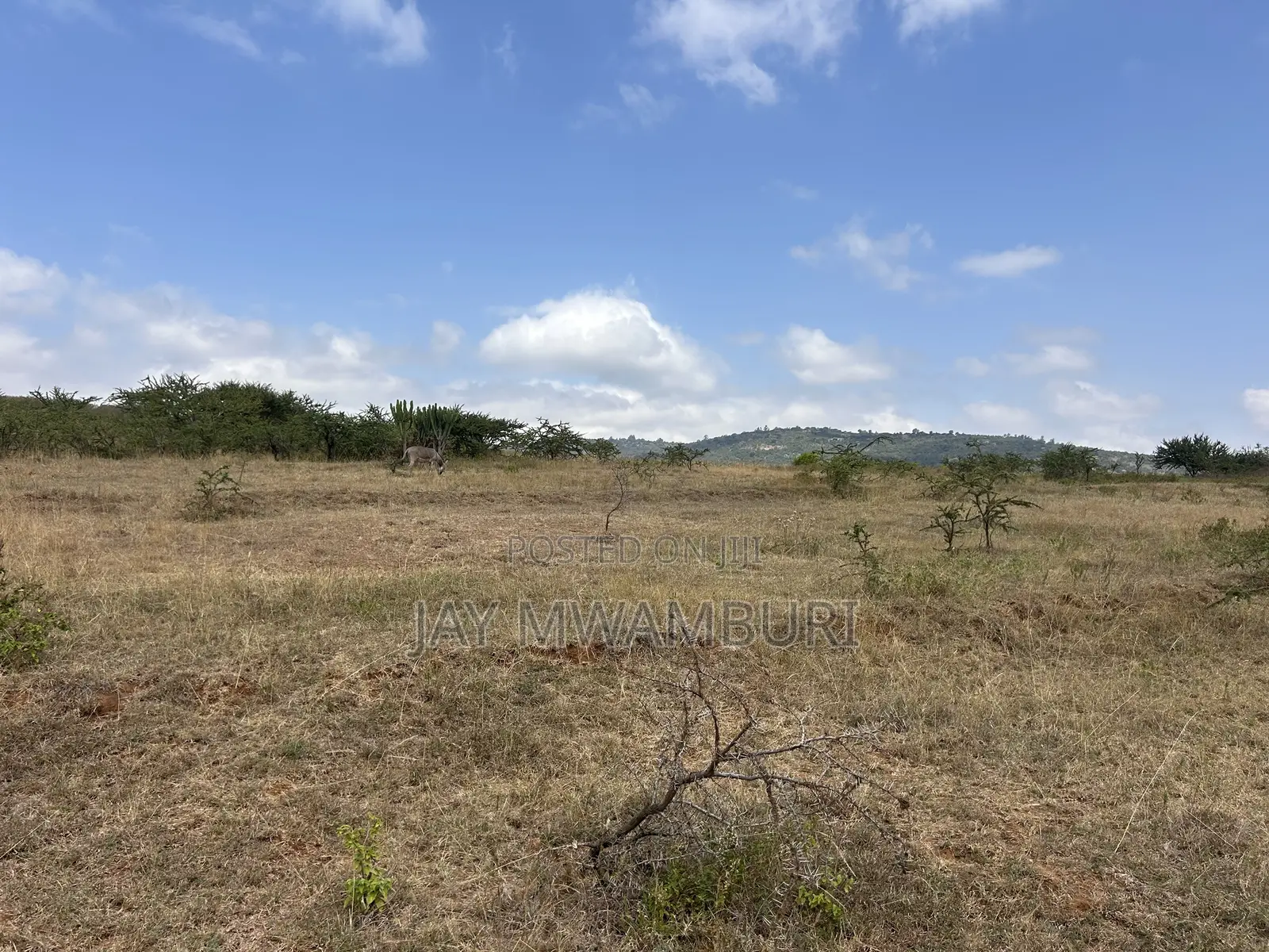 16 Acres Mua Hills in Mua Hills