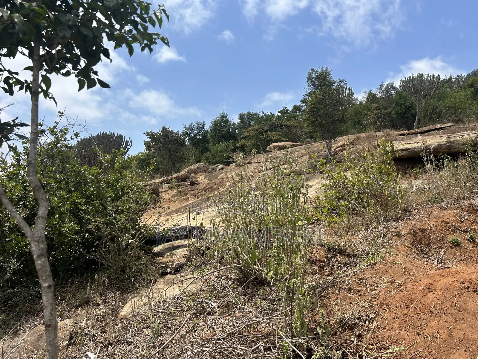 16 Acres Mua Hills in Mua Hills