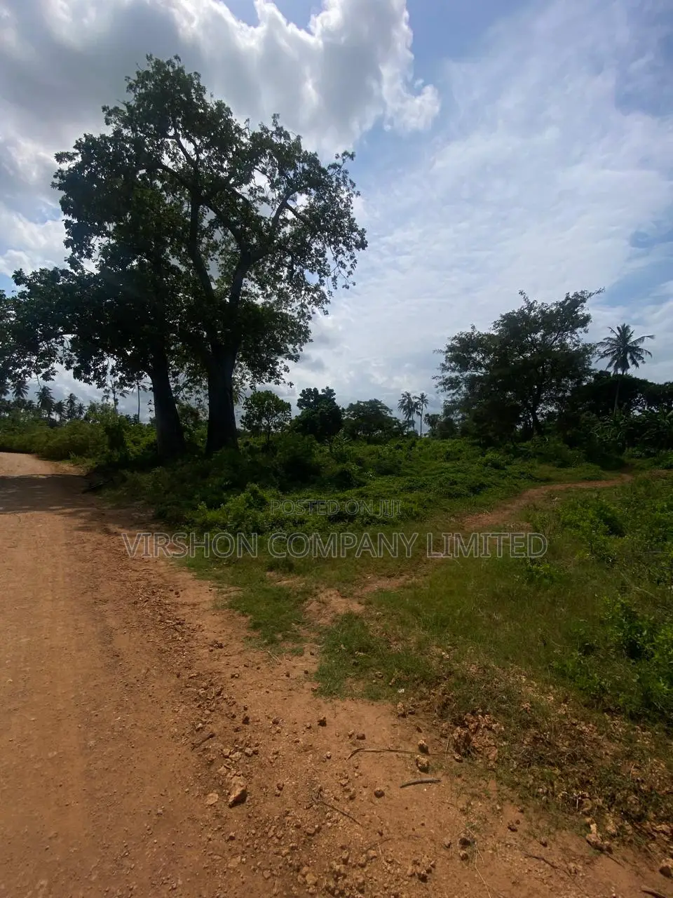 Prime Plot for Sale in Diani in Kinondo
