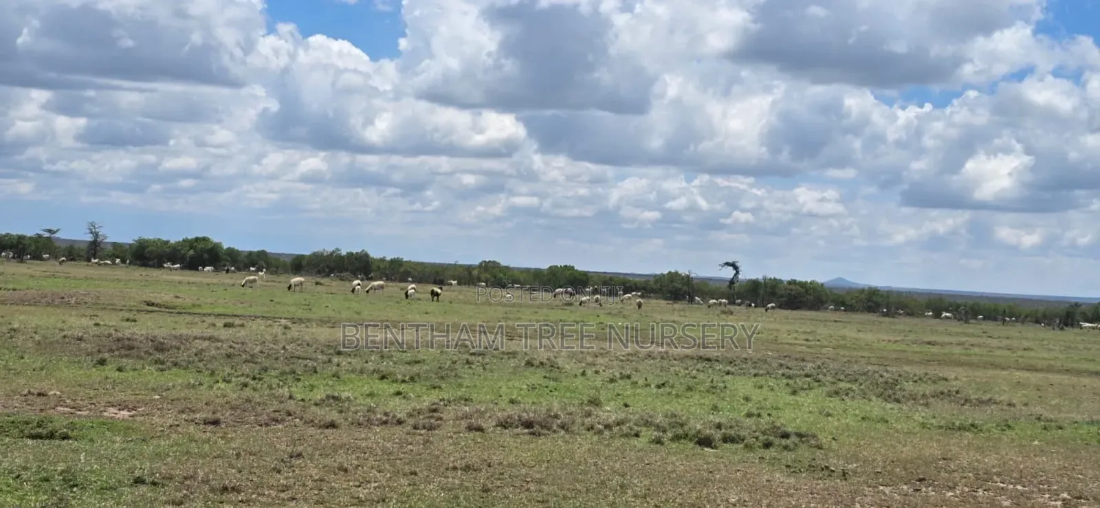 Land on Sale in Acres in Rumuruti Township