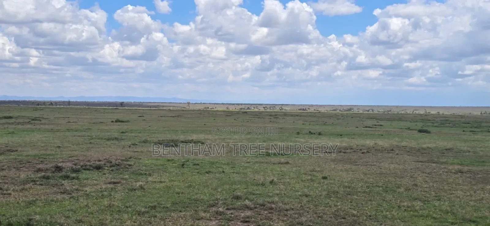 Land on Sale in Acres in Rumuruti Township