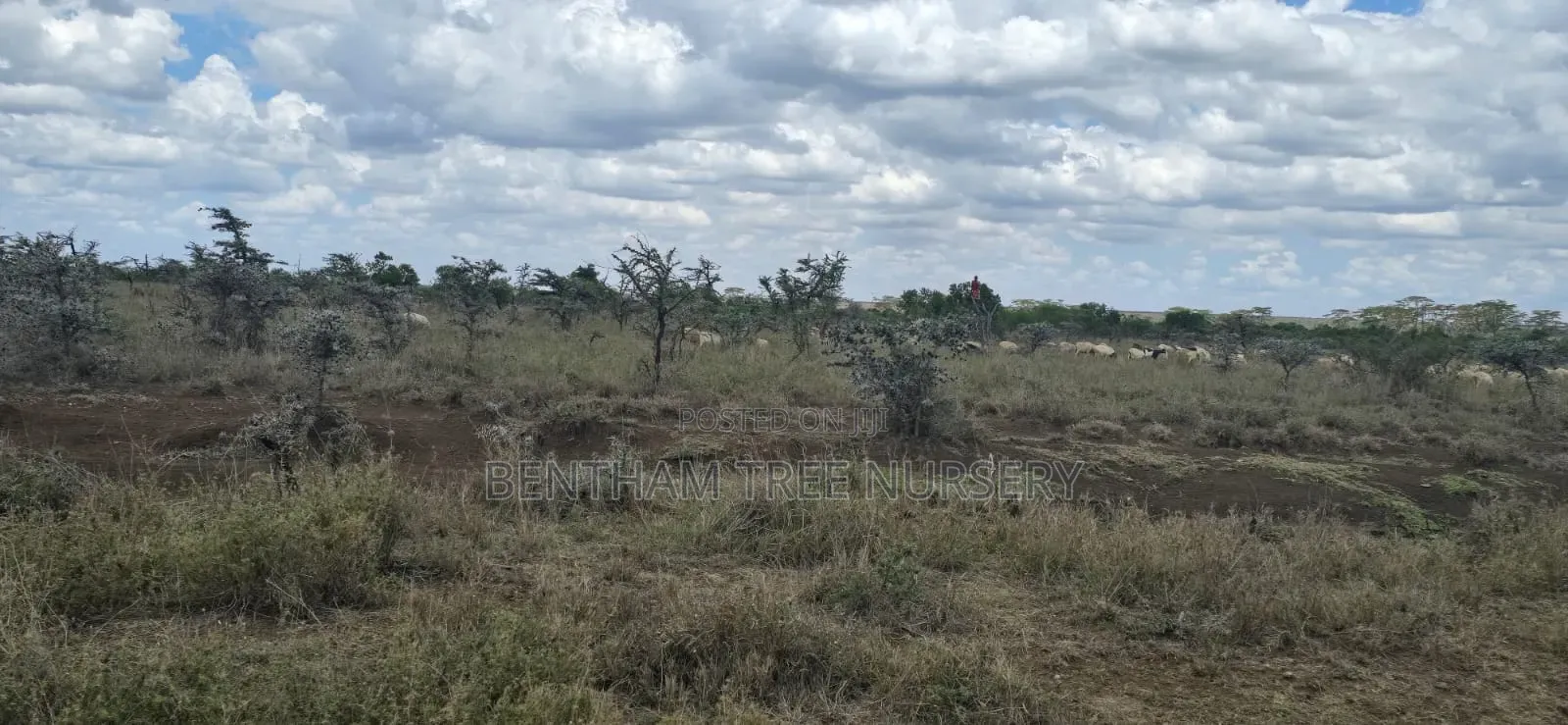 Land on Sale in Acres in Rumuruti Township