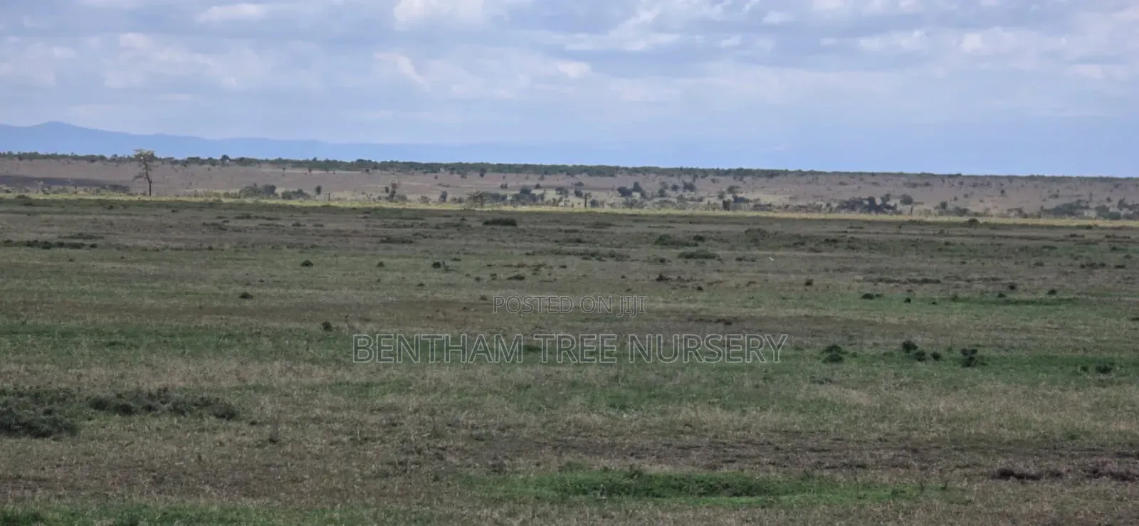 Land on Sale in Acres in Rumuruti Township