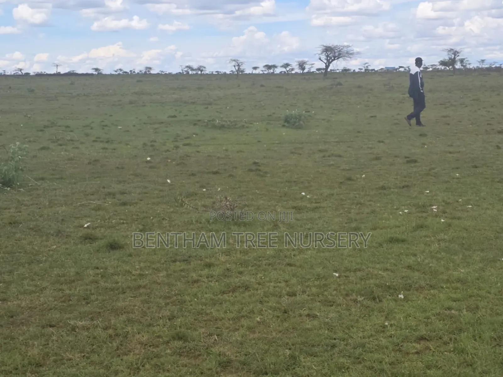 Land on Sale in Acres in Rumuruti Township