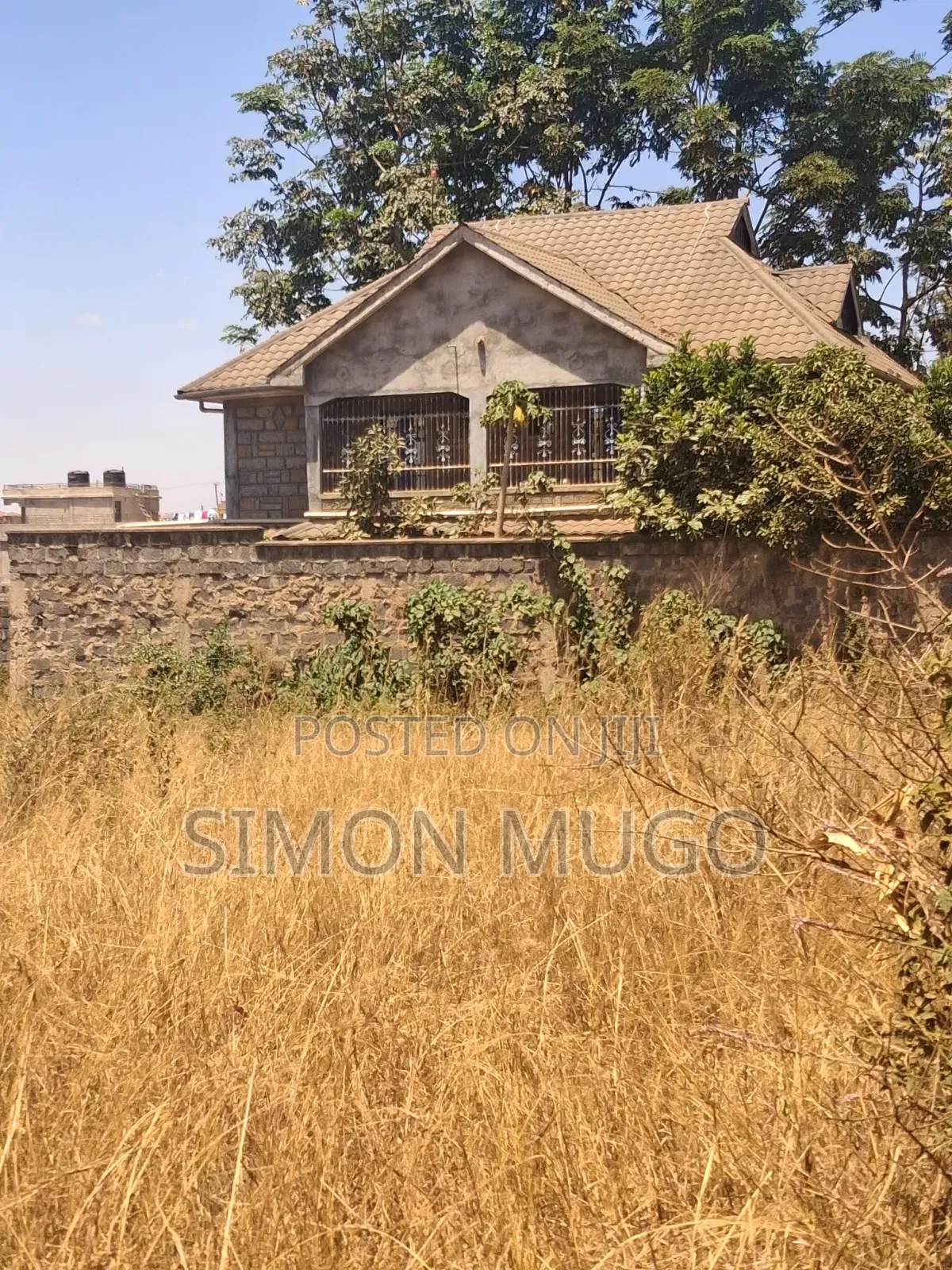 Tora Well Drained Residential Red Soil 50x100 Plot Freehold Title in Mangu