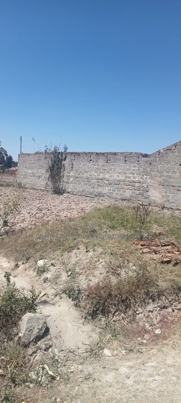 Plot on Sale at Mtonyora Kinangop in Magumu