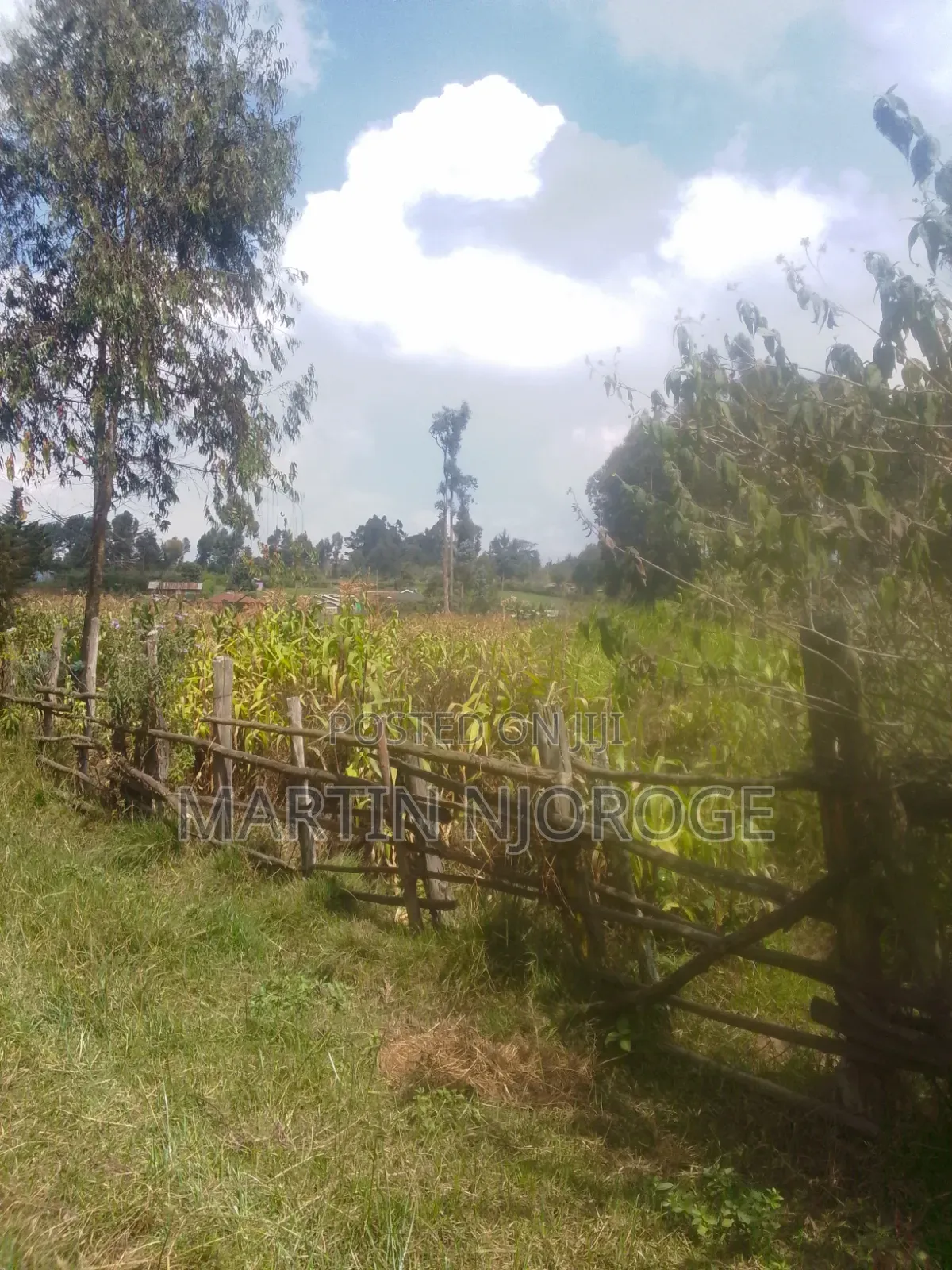 50 by 100 Tiekunu in Ndeiya
