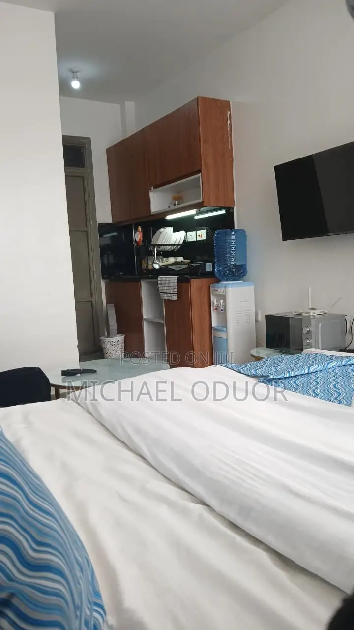 Furnished Studio Apartment in Lumumba Drive, Roysambu for rent in Roysambu