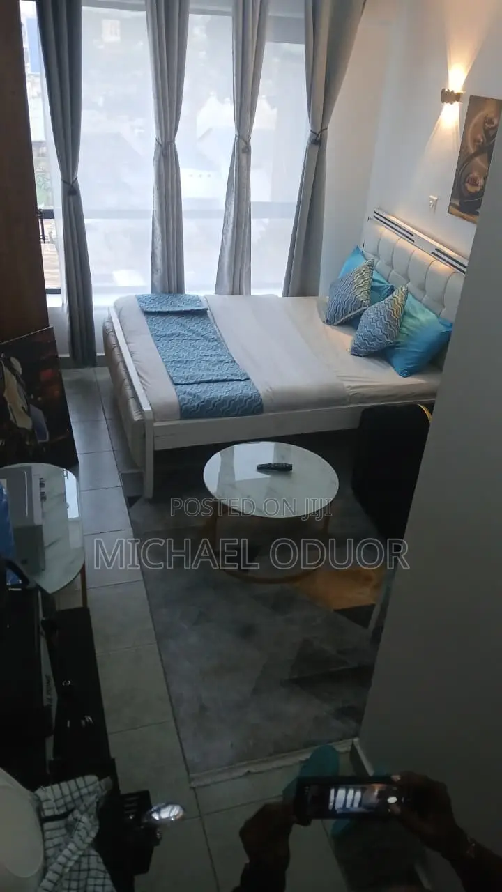 Furnished Studio Apartment in Lumumba Drive, Roysambu for rent in Roysambu