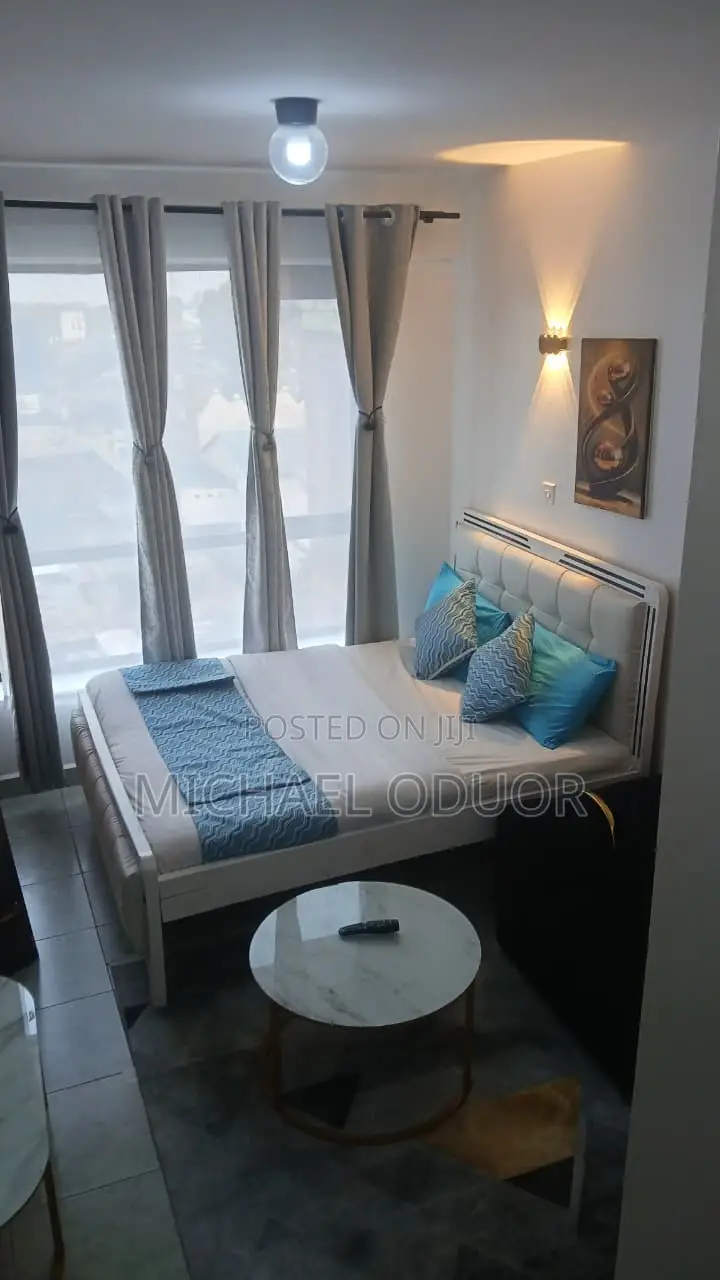 Furnished Studio Apartment in Lumumba Drive, Roysambu for rent in Roysambu