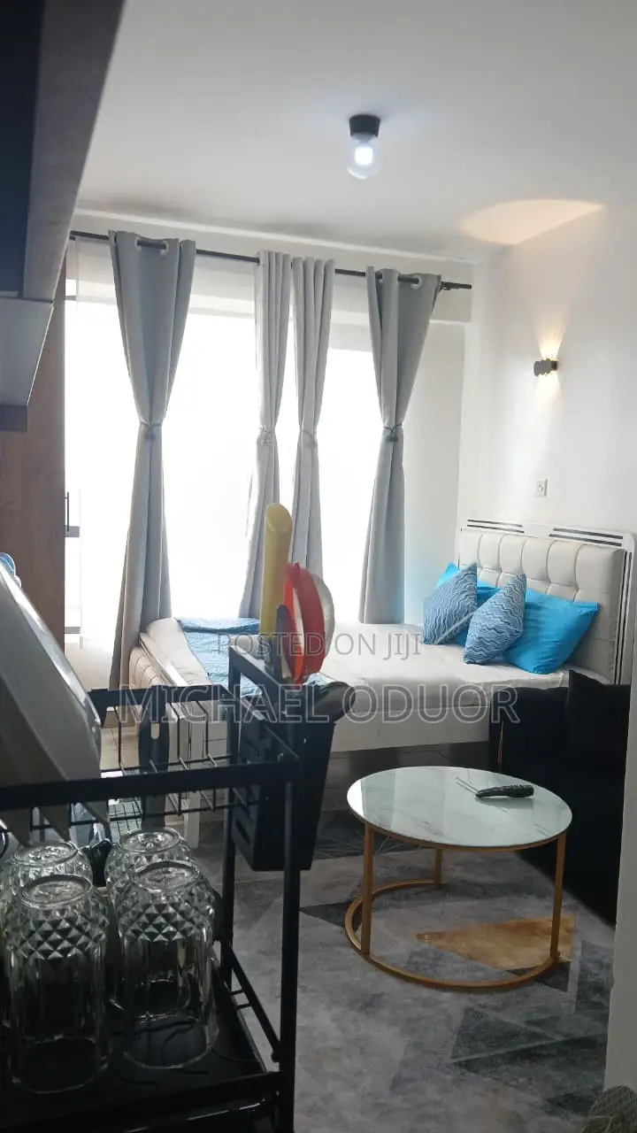 Furnished Studio Apartment in Lumumba Drive, Roysambu for rent in Roysambu