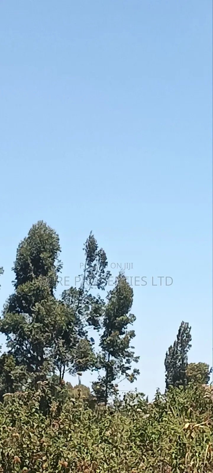 1⁄2 Acre in KIKUYU Kamangu in Kikuyu