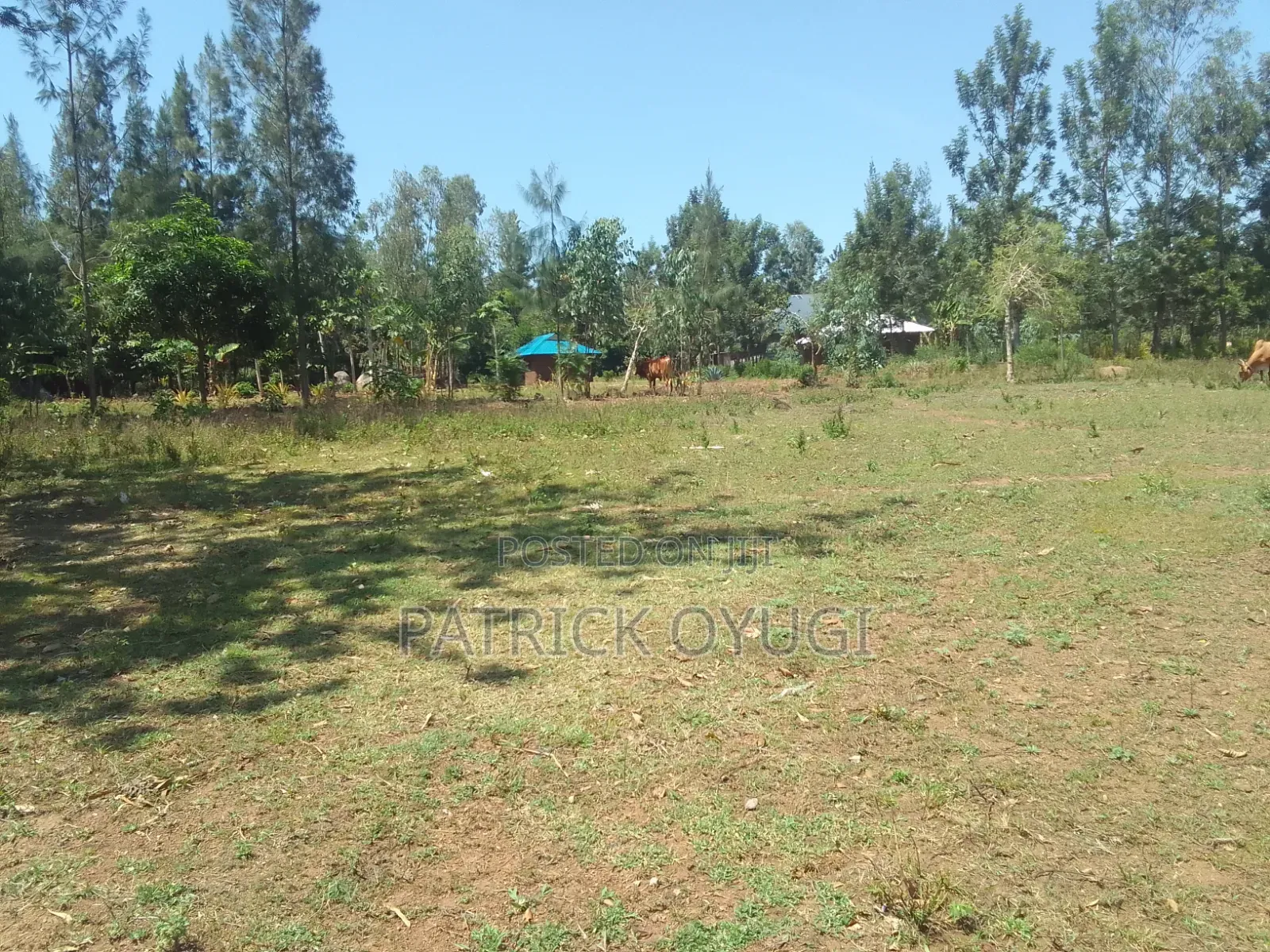 1/4 Acre at Seme Kitmikayi for Sale in North Seme
