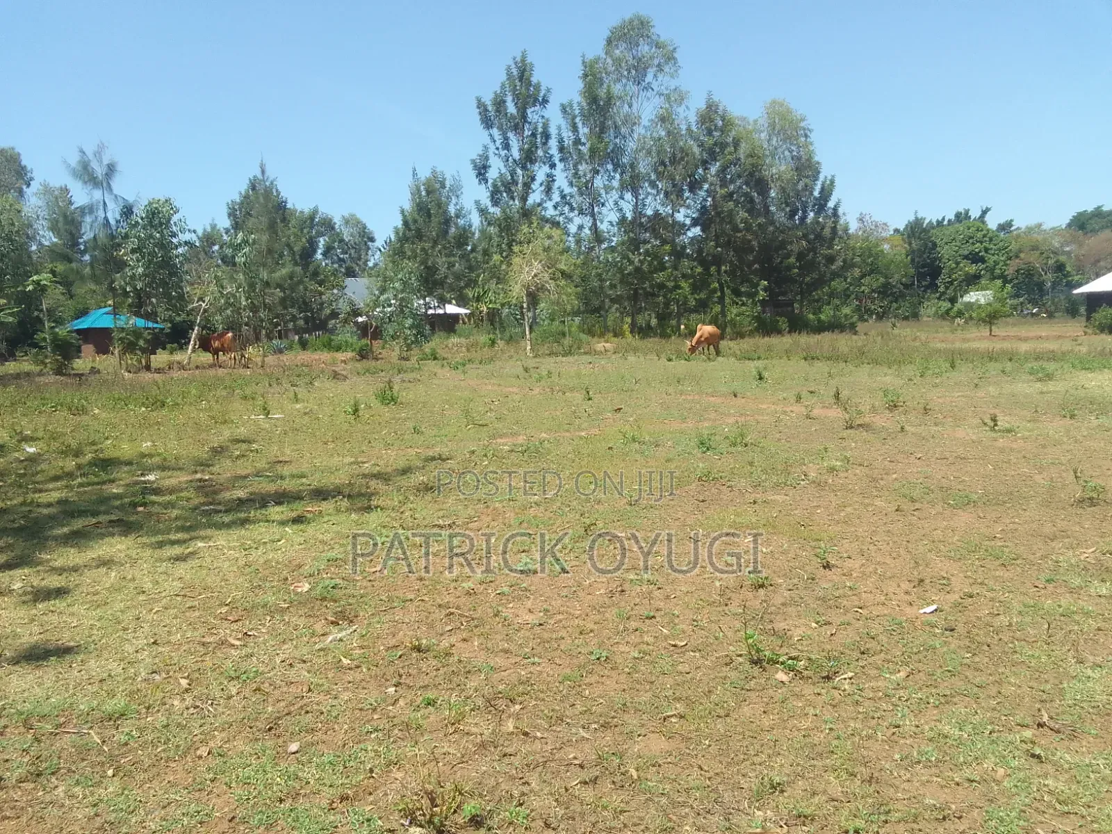 1/4 Acre at Seme Kitmikayi for Sale in North Seme