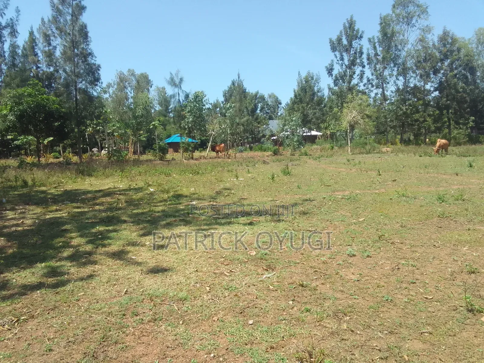 1/4 Acre at Seme Kitmikayi for Sale in North Seme