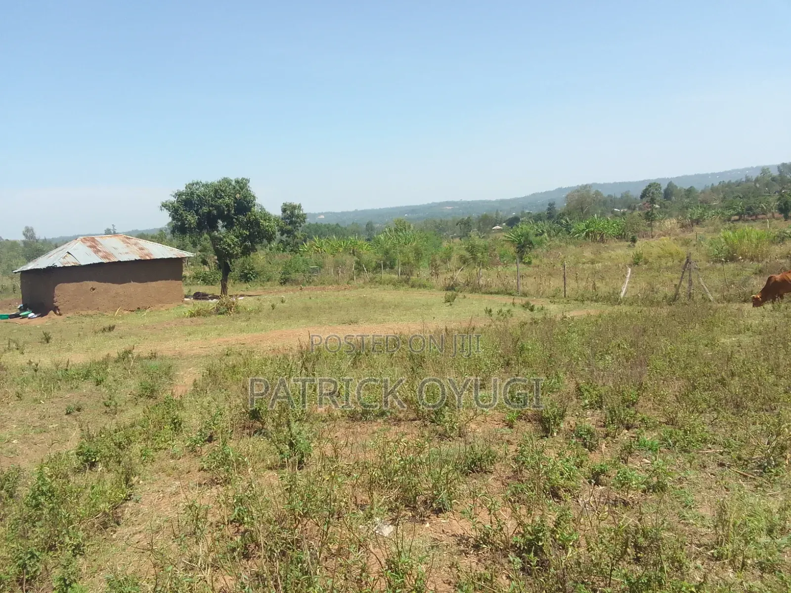 1/4 Acre at Seme Kitmikayi for Sale in North Seme